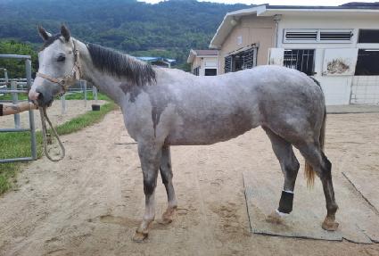 ���̽����� ����