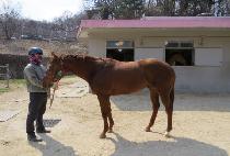 ���������� (DDATTEUTHAN WIRO) ����