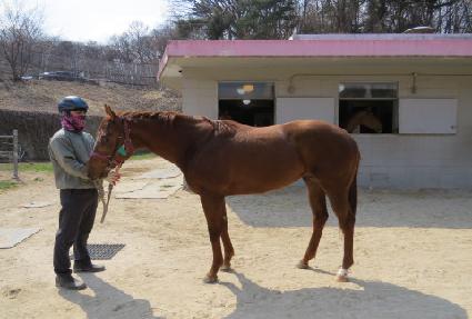 ���������� ����