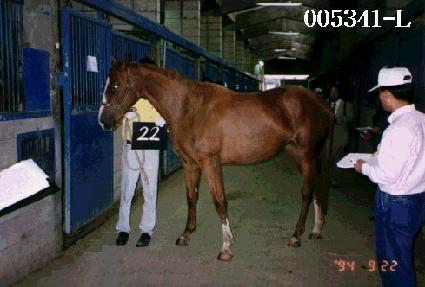 ��� ����