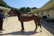 ������������ (GANGHAN PRINCESS) ����