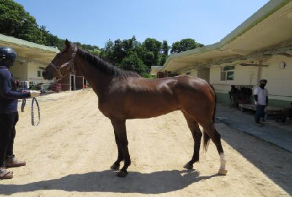 ������������ ����