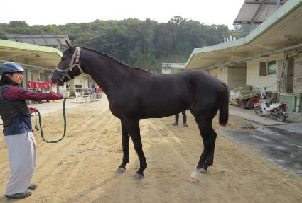 ��������Ʈ ����