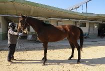 īŸ������ (KATARINARA) ����