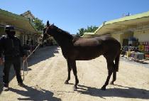 �����丮�� (ORATORIUM) ����