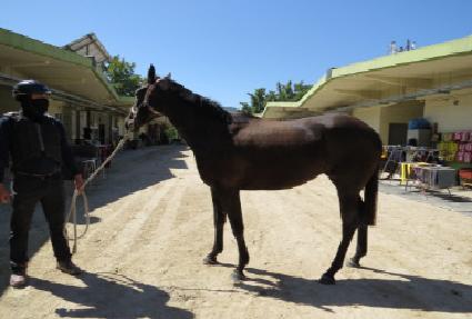 �����丮�� ����