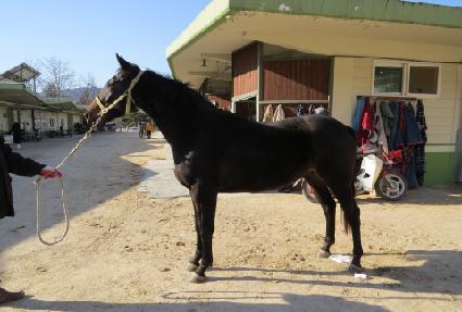 �������̾� ����