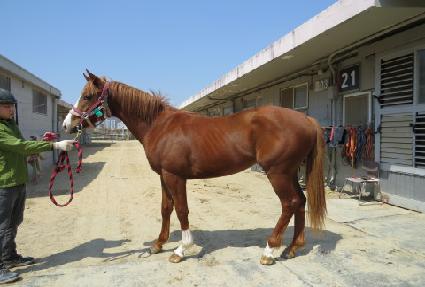 ������ ����