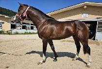 ���ƽý����� (OASIS MYEONGGA) ����