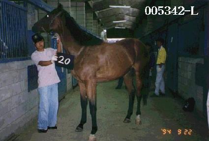 ��ȭ�� ����