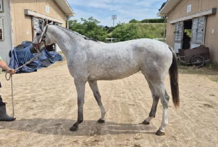 ��ī��ȭ��Ʈ ����