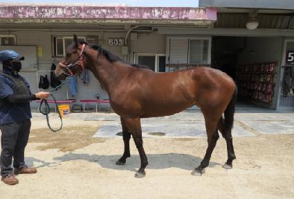 ���縮�� ����