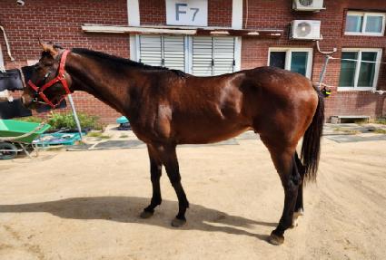 ���ؽ� ����