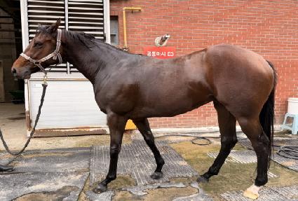 ���̴׿��� ����