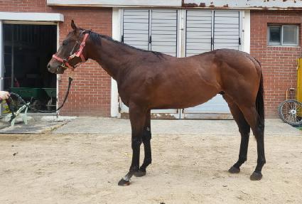 ����Ʈ���� ����