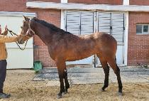 �������� (YURIM CHANGA) ����