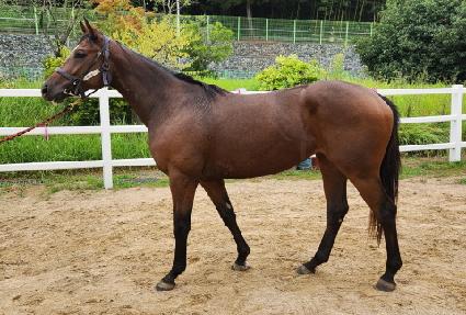 �Һ����� ����