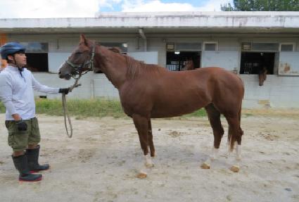 �׶������ ����