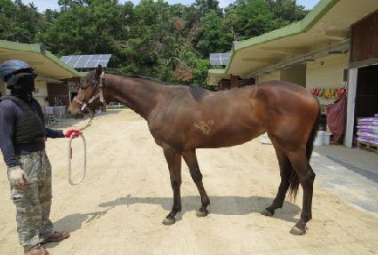 �������� ����