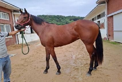 ������ ����