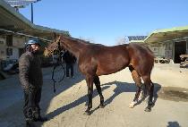 �������� (JISAN FREE) ����