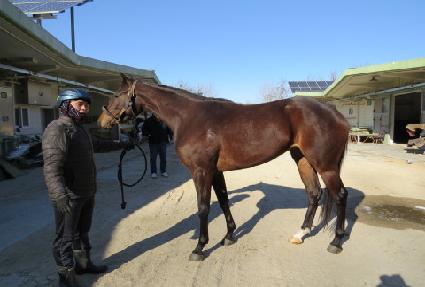 �������� ����