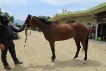 ��Ÿ��ƽ��� (FANTASTIC BRO) ����