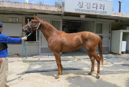 �����һ��� ����