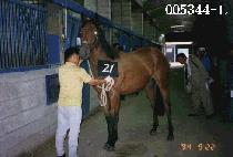 ȿ�� (HYO NYEO) ����