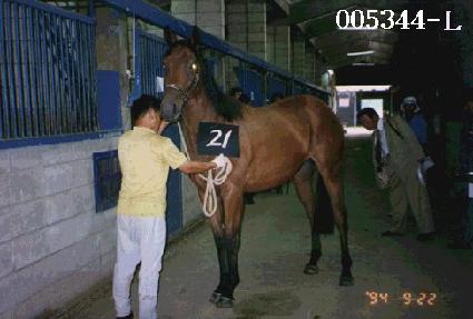 ȿ�� ����