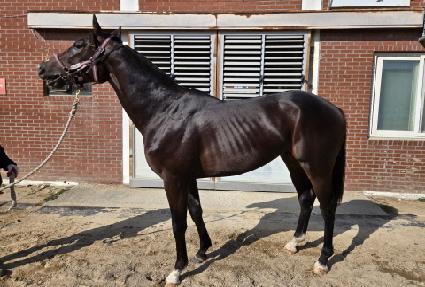 ��ȣ ����