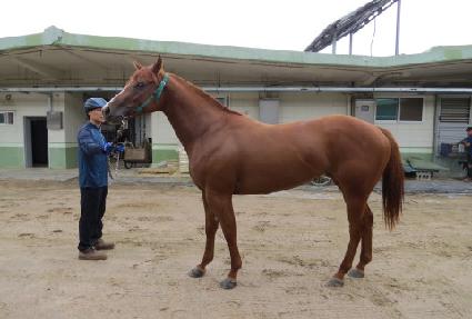 ����� ����