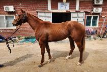 ���̺��� (HEY BROTHER) ����