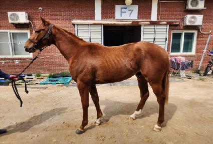 ���̺��� ����