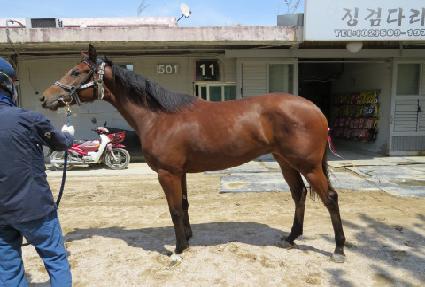 �Ǽ��� ����