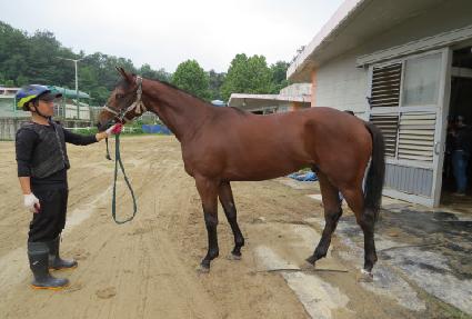 ���̵��� ����