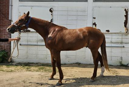 �溹�����佺 ����