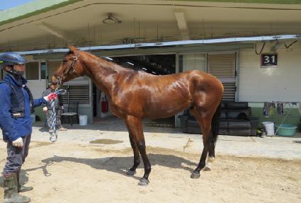 ���������̵� ����