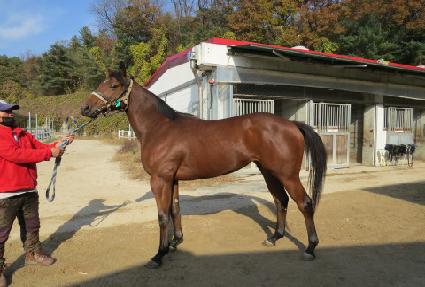 ť�ǵ����� ����