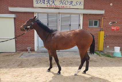 �׶�Ʈ�� ����