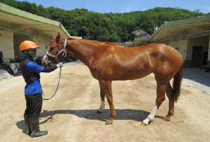 �긮���۷θ� ����