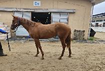 ����ܺ� (HEUIMANG DANBI) ����