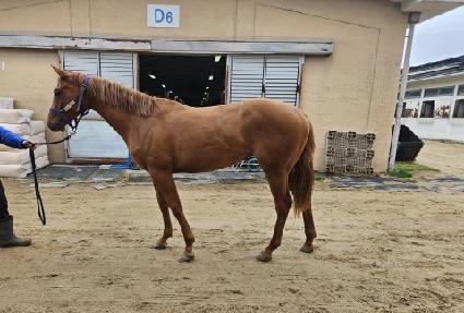 ����ܺ� ����