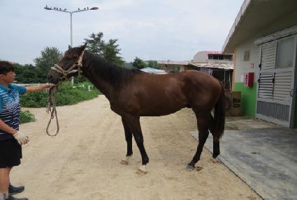 â����ȭ�� ����