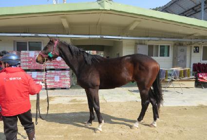 ���緹�� ����