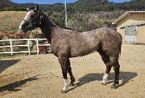 ���ͼ��� (DOCTOR CENTUM) ����