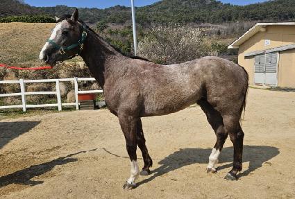 ���ͼ��� ����