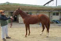 ���Ϻ��� (EUNHA BLUE) ����