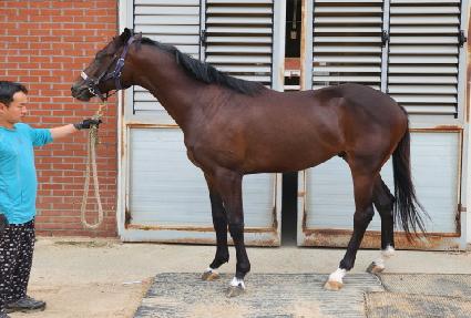 ����ƮŸ�̰� ����