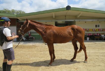 ���̺꽺Ÿ ����